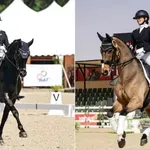 Delhi High Court Refuses to Change Asian Games Dressage Team, Directs EFI to Strictly Follow Selection Criteria